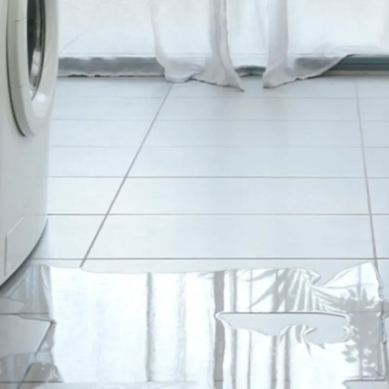 Appliance Leak Cleanup in Verona, WI
