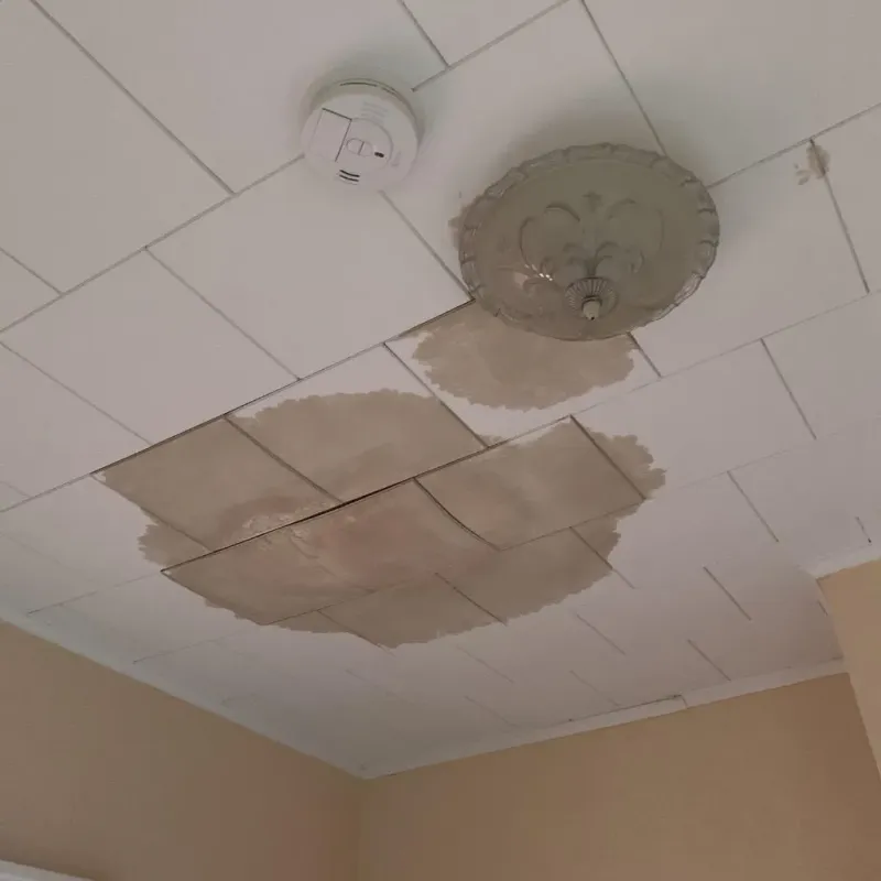 Ceiling Water Damage Repair in Verona, WI
