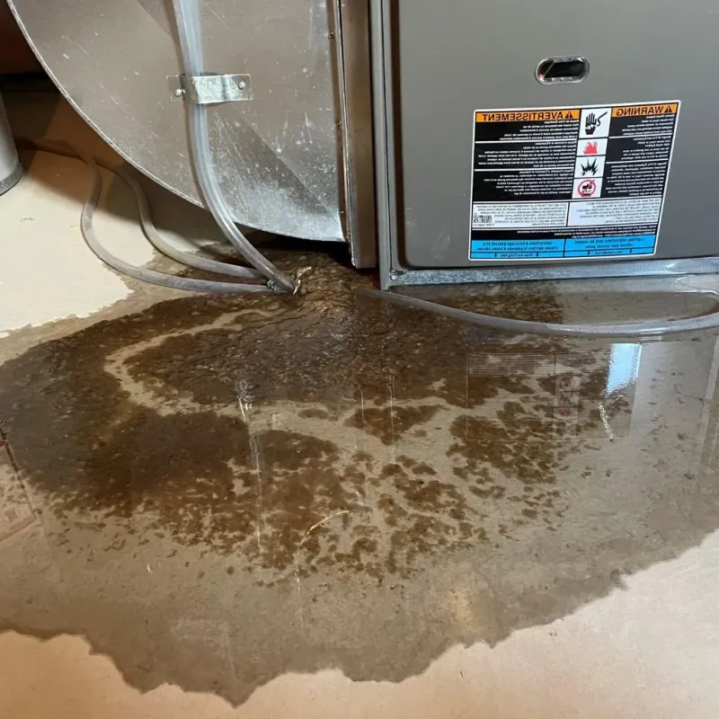 Pipe Burst and Leak Restoration in Verona, WI